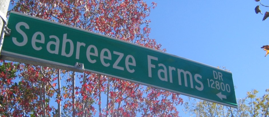 Seabreeze Farms Street